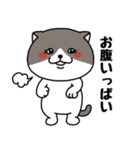 いろんな色の可愛い猫ちゃん（個別スタンプ：5）