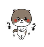 いろんな色の可愛い猫ちゃん（個別スタンプ：13）