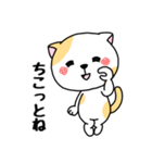 いろんな色の可愛い猫ちゃん（個別スタンプ：15）