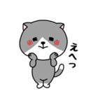 いろんな色の可愛い猫ちゃん（個別スタンプ：19）