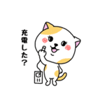 いろんな色の可愛い猫ちゃん（個別スタンプ：20）
