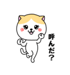 いろんな色の可愛い猫ちゃん（個別スタンプ：22）