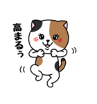 いろんな色の可愛い猫ちゃん（個別スタンプ：23）