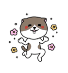 いろんな色の可愛い猫ちゃん（個別スタンプ：24）