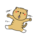 いろんな色の可愛い猫ちゃん（個別スタンプ：31）