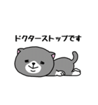 いろんな色の可愛い猫ちゃん（個別スタンプ：37）