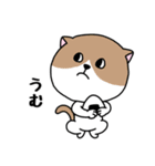 いろんな色の可愛い猫ちゃん（個別スタンプ：39）