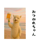 アルパカさんの吹き出しスタンプ（個別スタンプ：10）