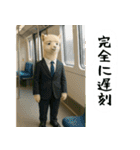 アルパカさんの吹き出しスタンプ（個別スタンプ：11）