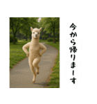 アルパカさんの吹き出しスタンプ（個別スタンプ：14）