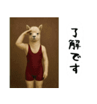 アルパカさんの吹き出しスタンプ（個別スタンプ：17）