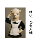 アルパカさんの吹き出しスタンプ（個別スタンプ：19）