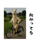 アルパカさんの吹き出しスタンプ（個別スタンプ：25）