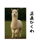アルパカさんの吹き出しスタンプ（個別スタンプ：28）