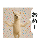 アルパカさんの吹き出しスタンプ（個別スタンプ：30）