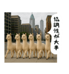 アルパカさんの吹き出しスタンプ（個別スタンプ：33）