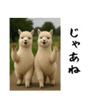 アルパカさんの吹き出しスタンプ（個別スタンプ：40）