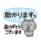 サバトラのカラフル敬語（個別スタンプ：3）