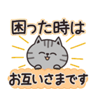 サバトラのカラフル敬語（個別スタンプ：11）