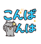 サバトラのカラフル敬語（個別スタンプ：20）