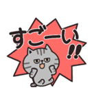 サバトラのカラフル敬語（個別スタンプ：27）