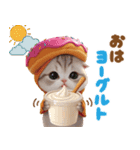 かわいい猫たち ずっと使えるダジャレ（個別スタンプ：3）