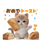かわいい猫たち ずっと使えるダジャレ（個別スタンプ：9）