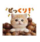 かわいい猫たち ずっと使えるダジャレ（個別スタンプ：15）