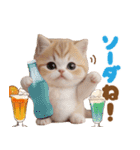 かわいい猫たち ずっと使えるダジャレ（個別スタンプ：16）