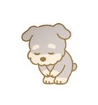 もふもふシュナの毎日（個別スタンプ：16）