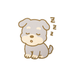 もふもふシュナの毎日（個別スタンプ：17）