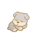 もふもふシュナの毎日（個別スタンプ：20）