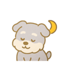 もふもふシュナの毎日（個別スタンプ：21）