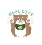忠犬もちしば ゆる敬語スタンプ（個別スタンプ：5）