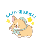 忠犬もちしば ゆる敬語スタンプ（個別スタンプ：10）