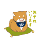 忠犬もちしば ゆる敬語スタンプ（個別スタンプ：13）