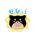 忠犬もちしば ゆる敬語スタンプ（個別スタンプ：16）