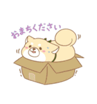 忠犬もちしば ゆる敬語スタンプ（個別スタンプ：18）