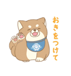 忠犬もちしば ゆる敬語スタンプ（個別スタンプ：20）