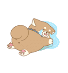 忠犬もちしば ゆる敬語スタンプ（個別スタンプ：30）