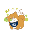 忠犬もちしば ゆる敬語スタンプ（個別スタンプ：31）