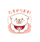 忠犬もちしば ゆる敬語スタンプ（個別スタンプ：32）