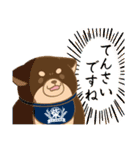 忠犬もちしば ゆる敬語スタンプ（個別スタンプ：33）