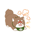 忠犬もちしば ゆる敬語スタンプ（個別スタンプ：35）