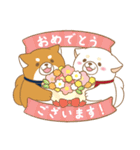 忠犬もちしば ゆる敬語スタンプ（個別スタンプ：40）