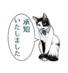 敬語編 猫にまみれたがりのスタンプ（個別スタンプ：2）
