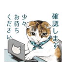 敬語編 猫にまみれたがりのスタンプ（個別スタンプ：3）