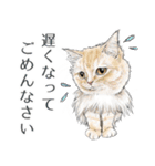 敬語編 猫にまみれたがりのスタンプ（個別スタンプ：4）