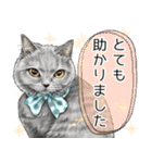 敬語編 猫にまみれたがりのスタンプ（個別スタンプ：11）