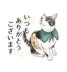 敬語編 猫にまみれたがりのスタンプ（個別スタンプ：12）